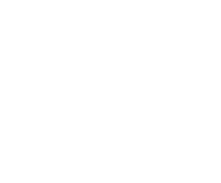 FECON ERP logo